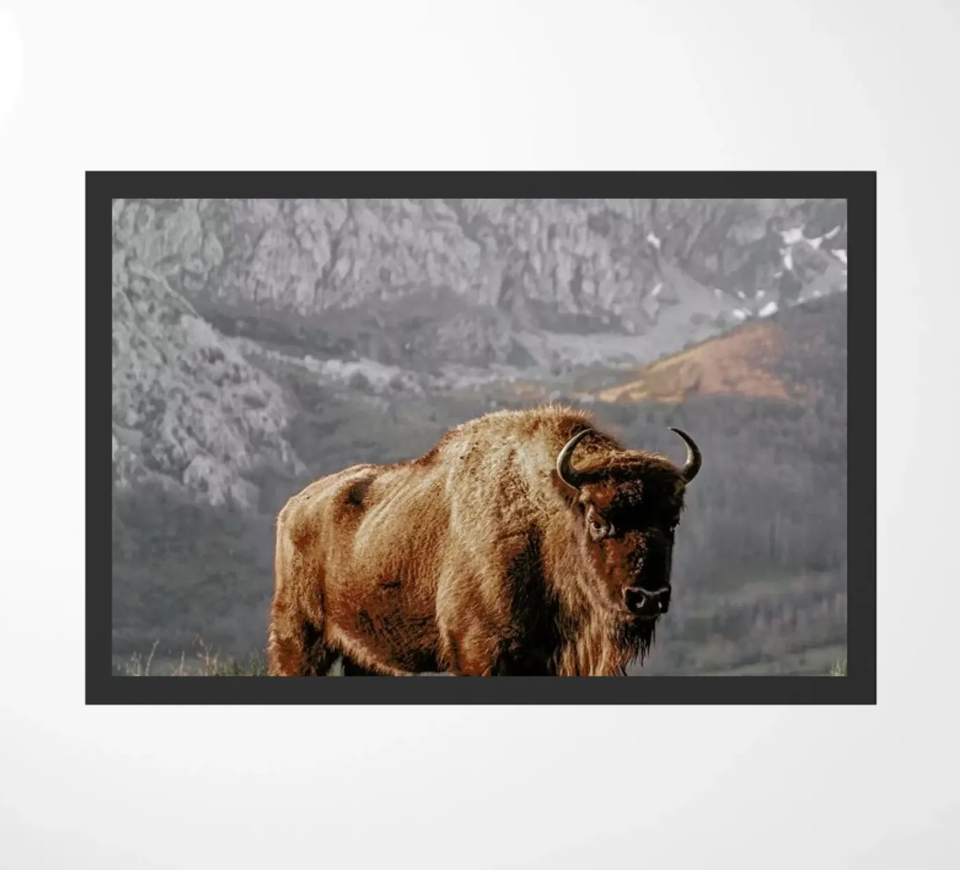 Early Riser doormat by Natural Kingdom