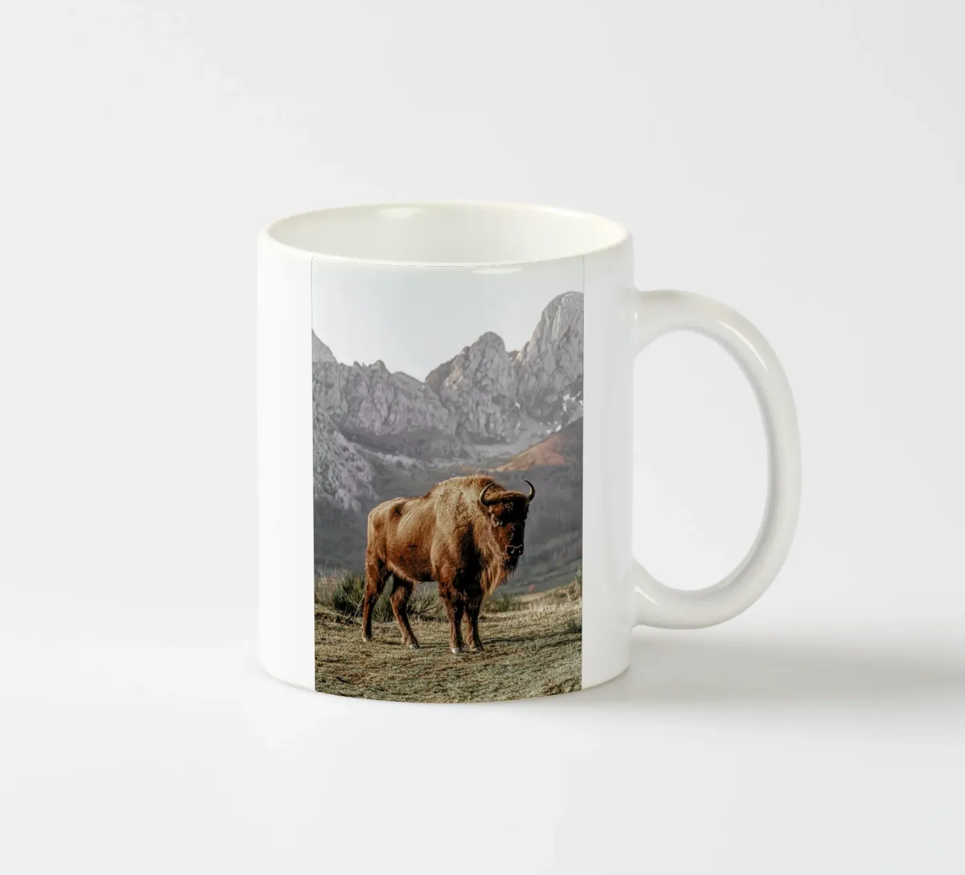 Early Riser ceramic mug by Natural Kingdom