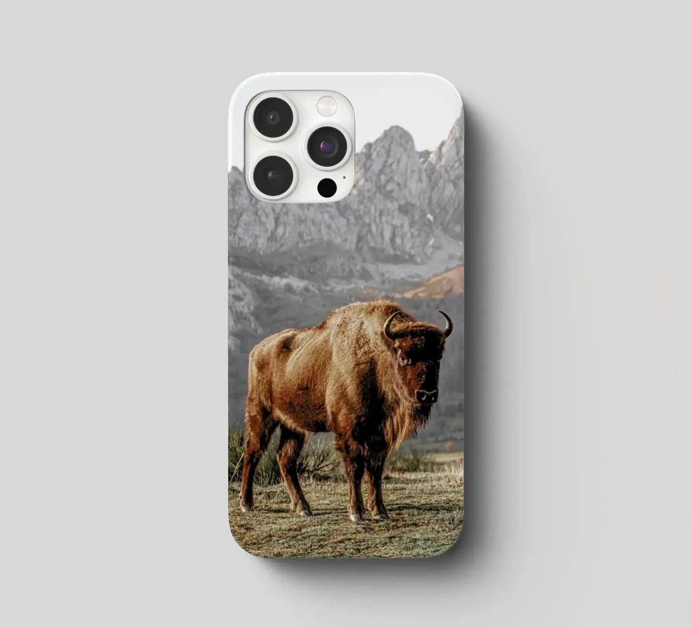 Early Riser iphone case by Natural Kingdom