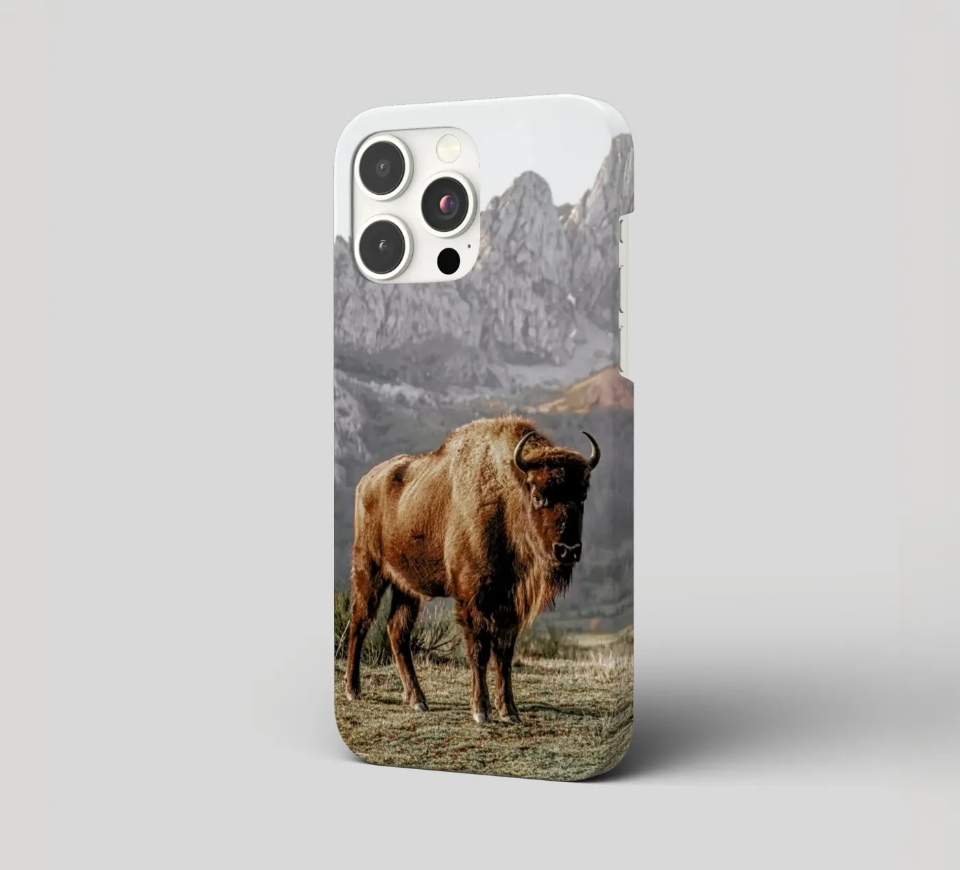 Early Riser iphone case by Natural Kingdom