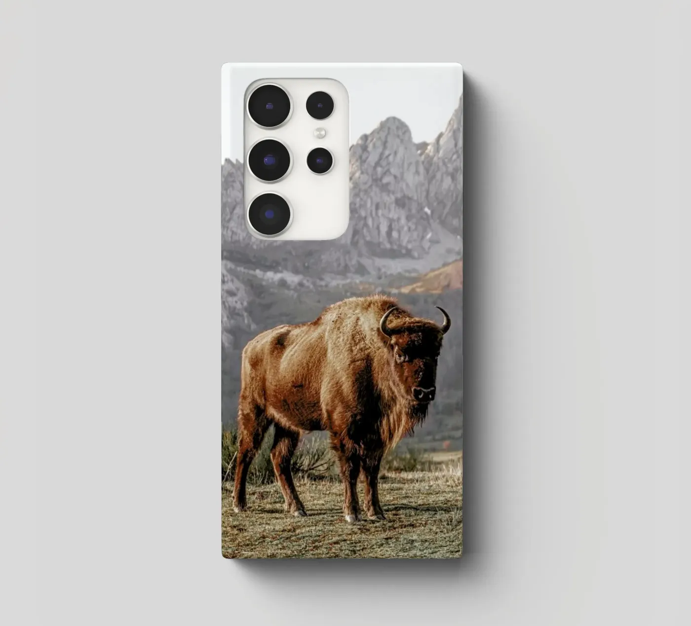 Early Riser coque samsung de Natural Kingdom