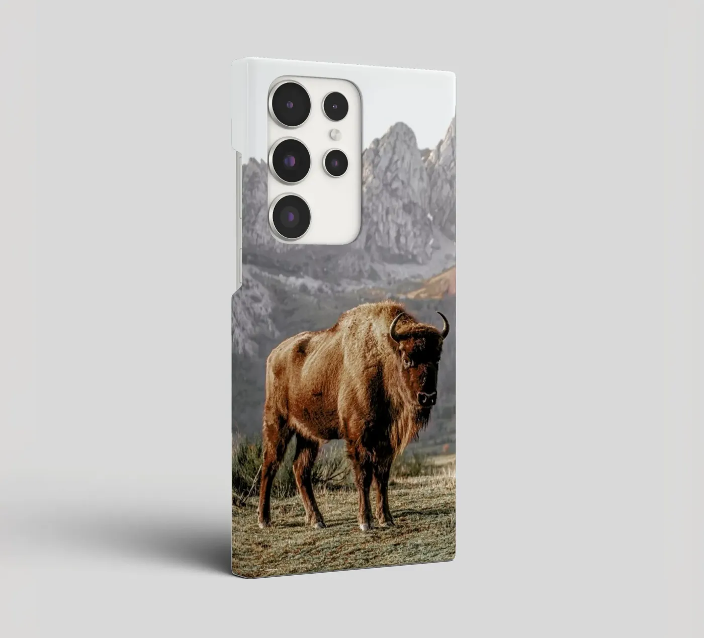 Early Riser coque samsung de Natural Kingdom