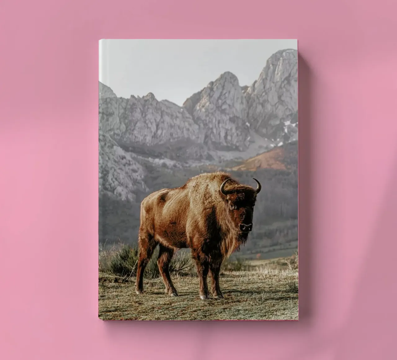 Early Riser notebook by Natural Kingdom