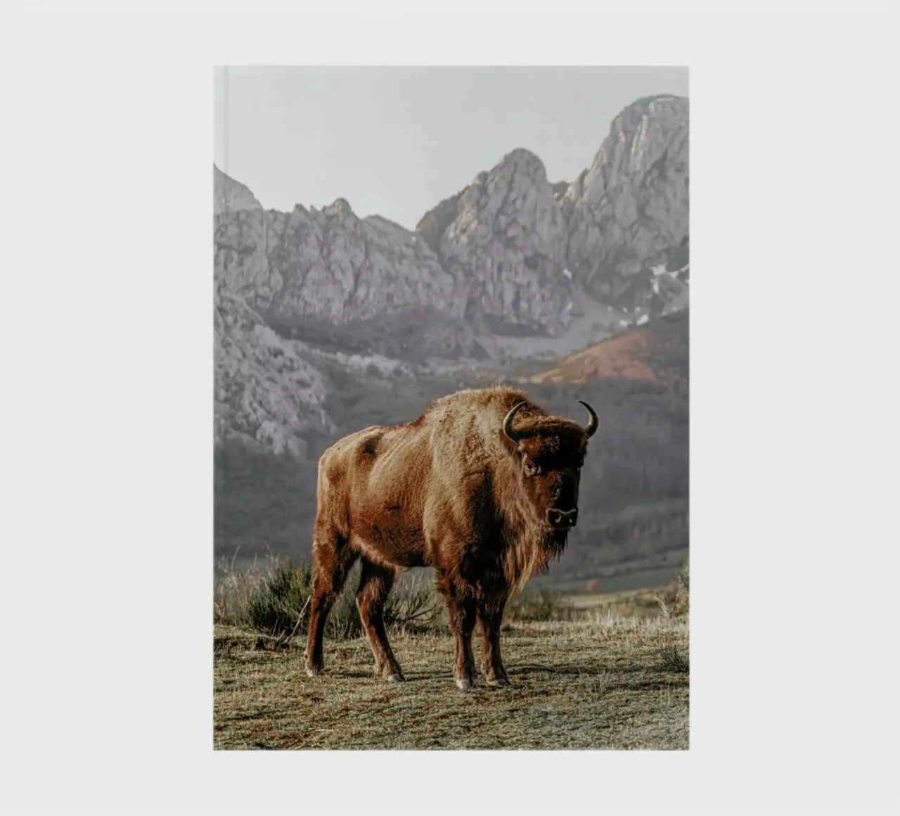 Early Riser notebook by Natural Kingdom