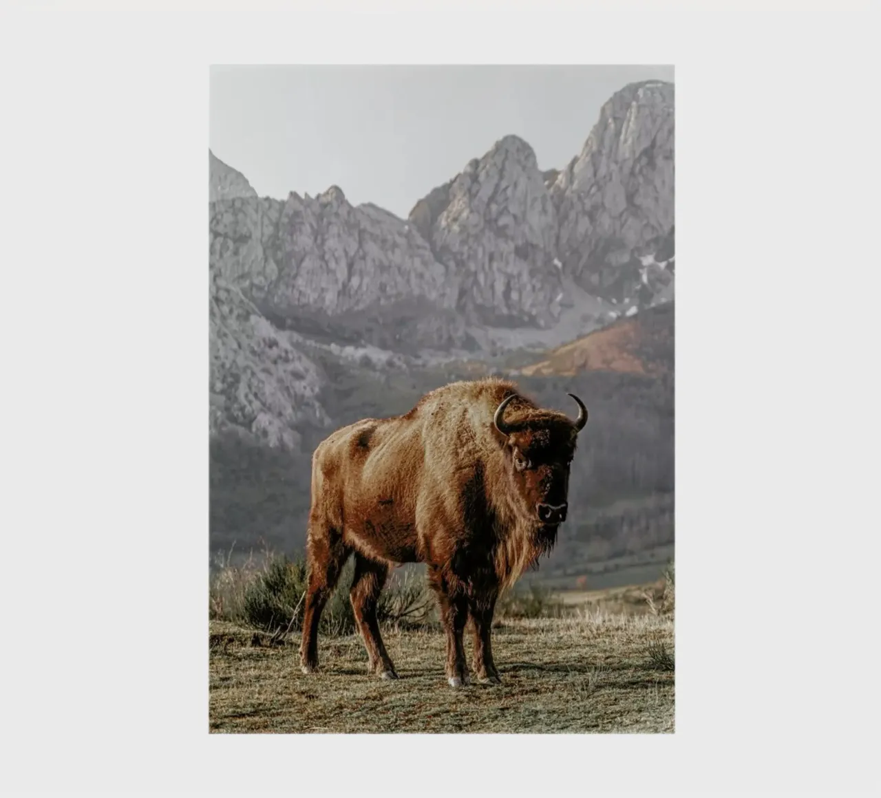 Early Riser notebook by Natural Kingdom