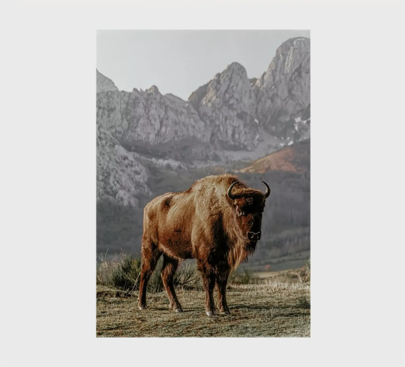 Early Riser notebook by Natural Kingdom