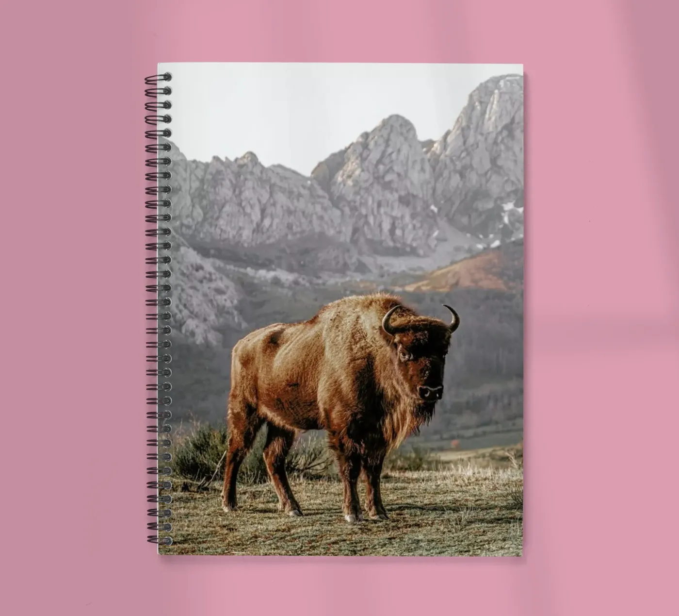 Early Riser spiral notebook by Natural Kingdom