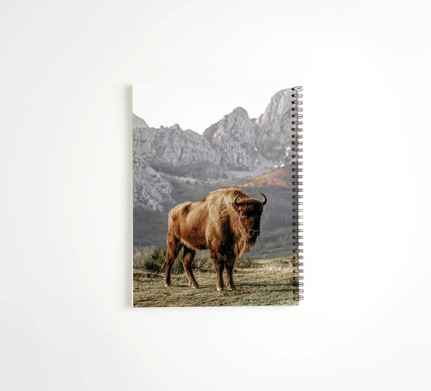 Early Riser spiral notebook by Natural Kingdom