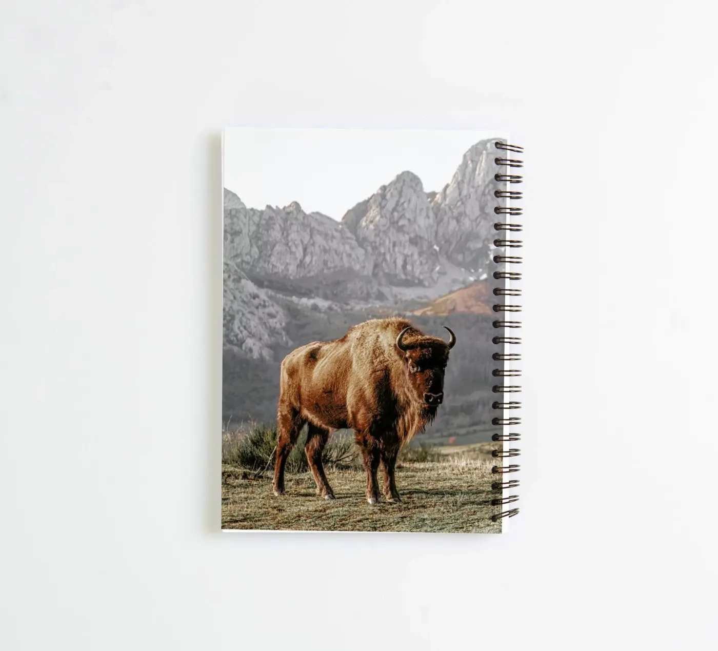 Early Riser spiral notebook by Natural Kingdom