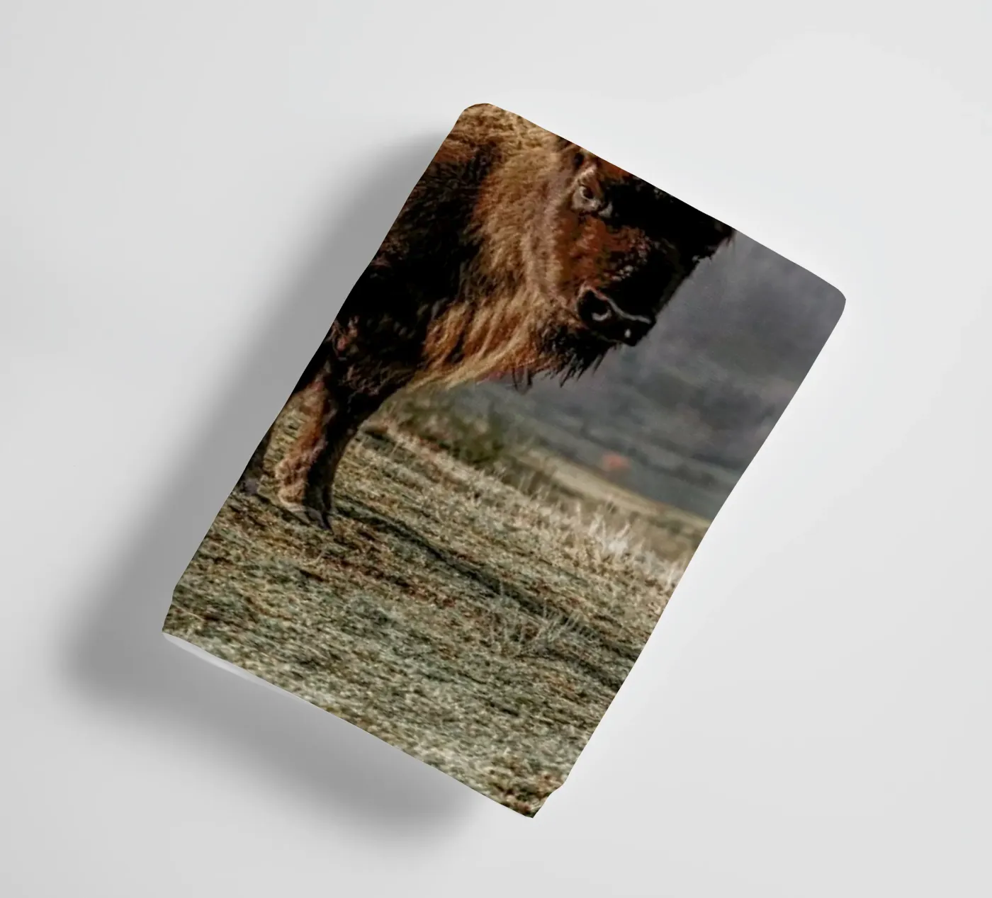 Early Riser asciugamano da bagno da Natural Kingdom