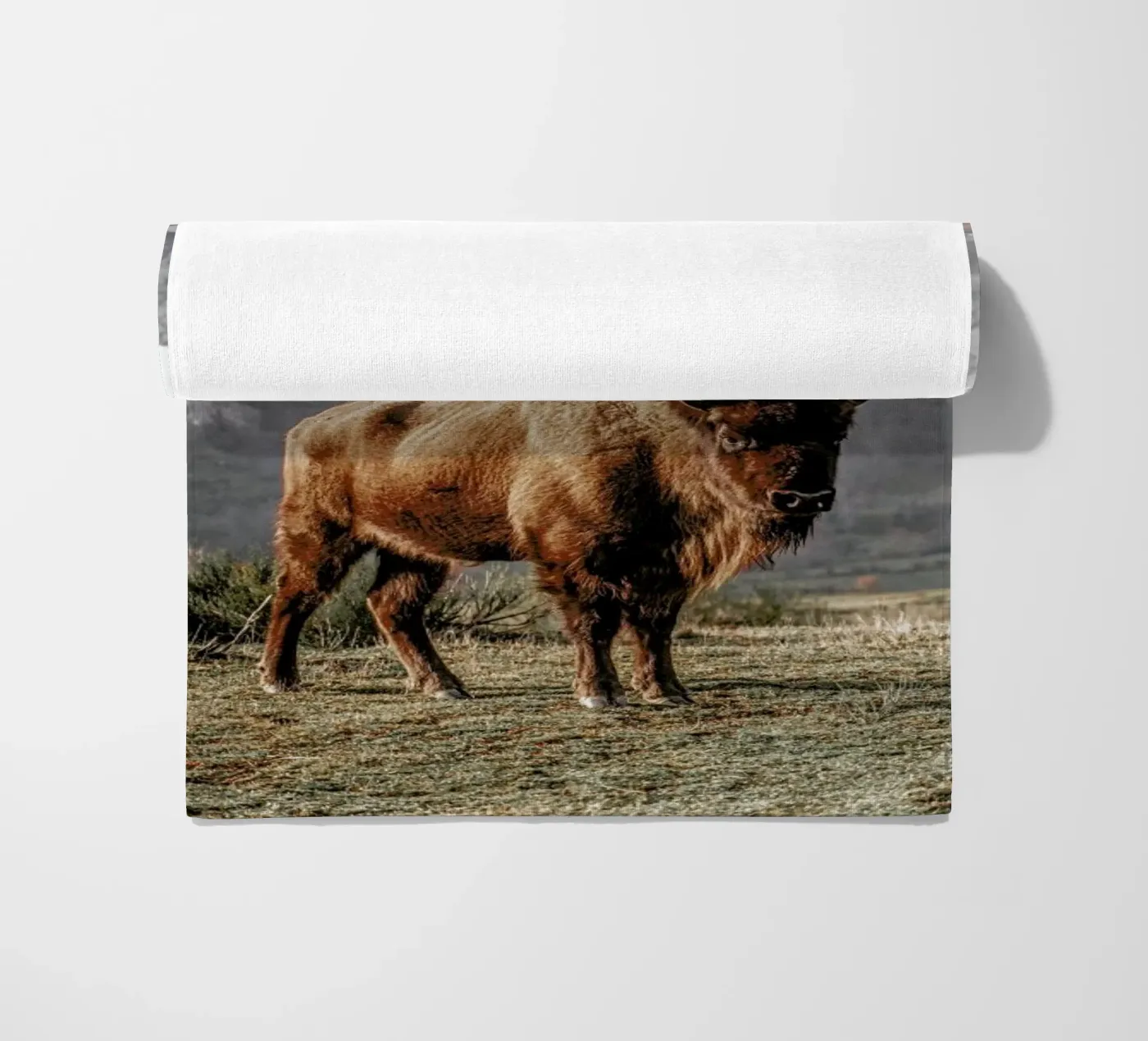Early Riser beach towel by Natural Kingdom