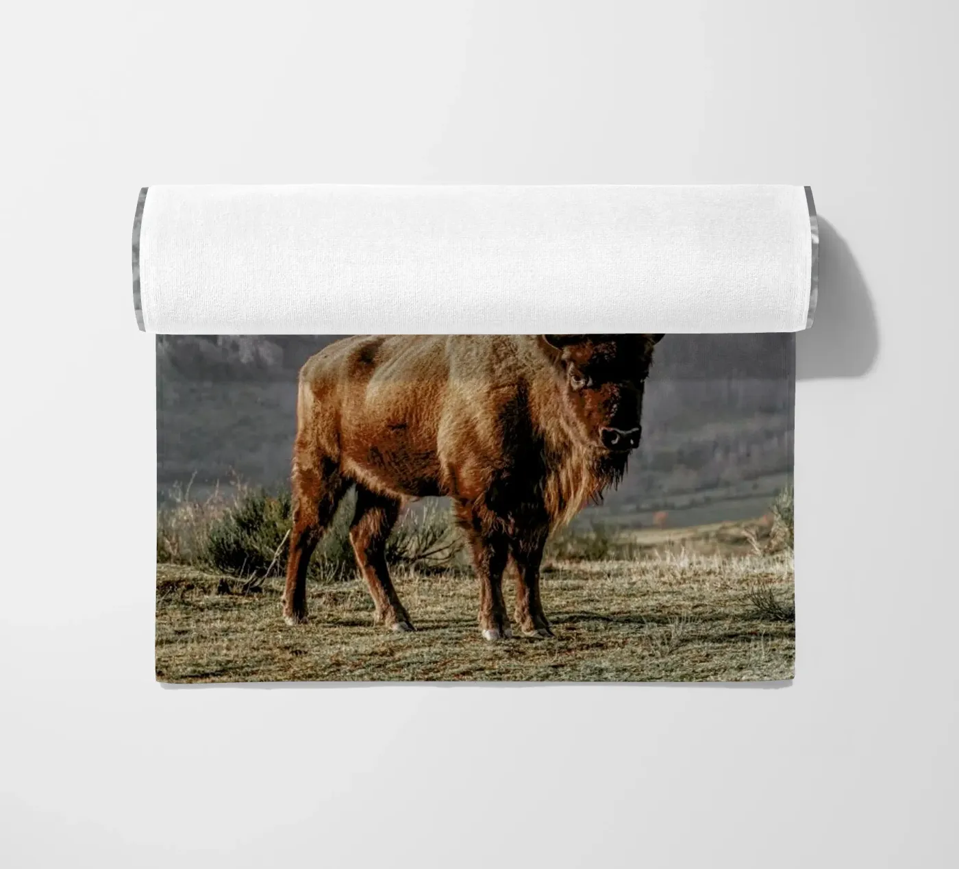 Early Riser beach towel by Natural Kingdom