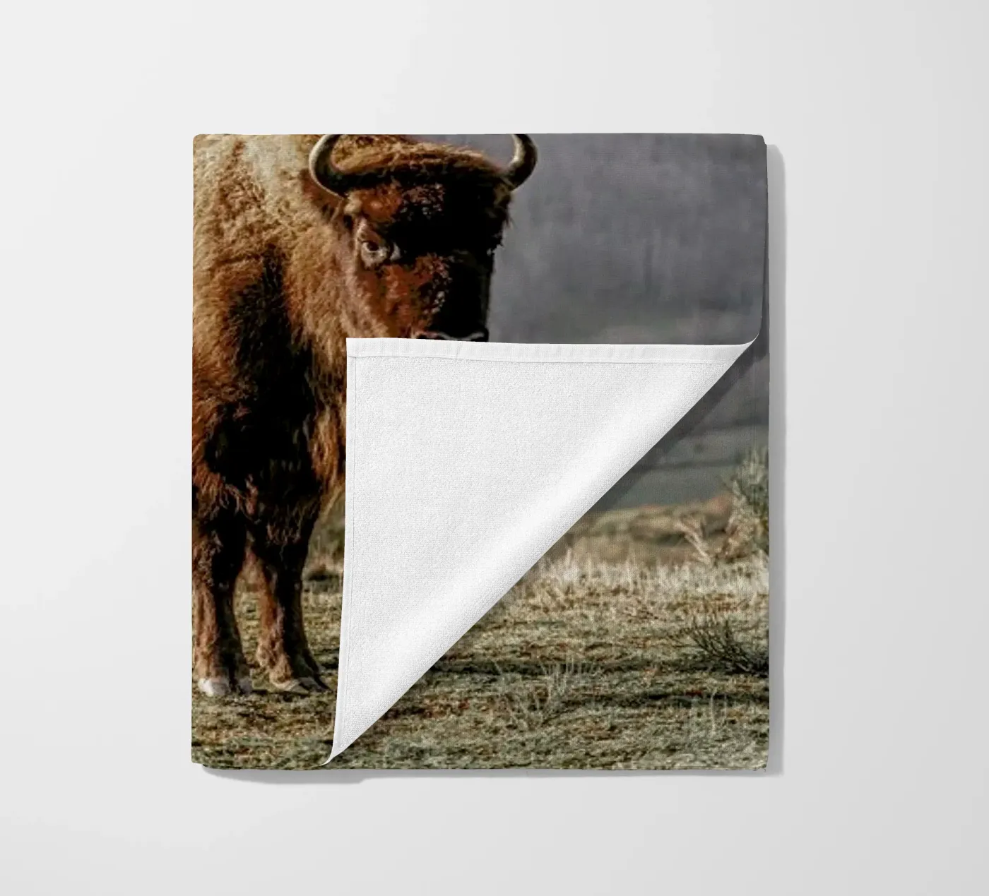 Early Riser beach towel by Natural Kingdom