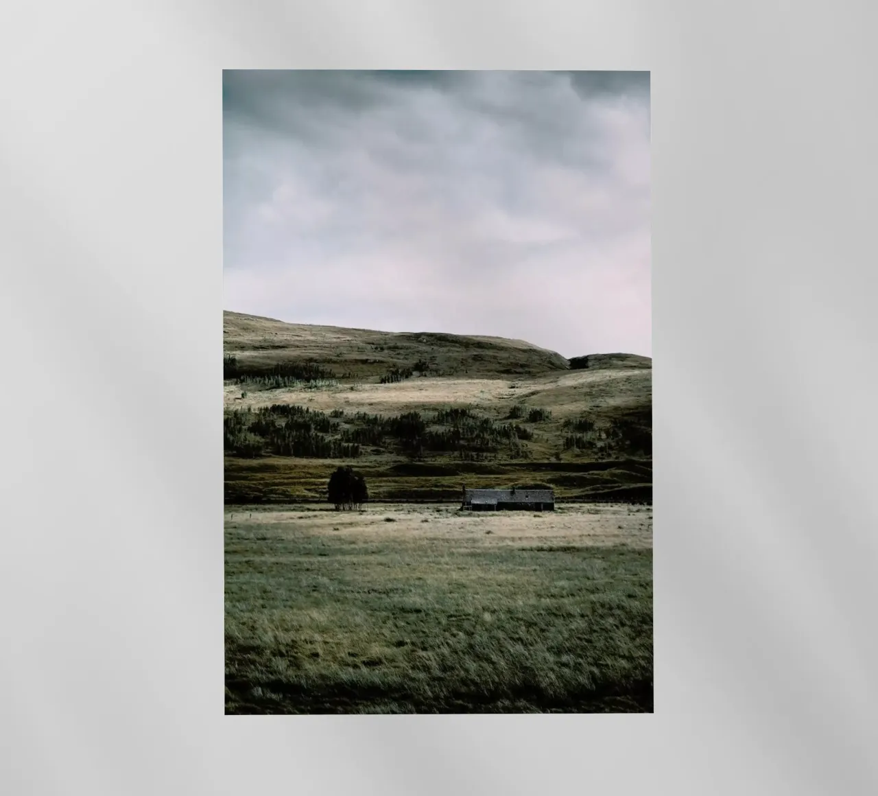 Fresh Air & Good Sleep by @nilsleithold pellicola backlit da EyeEm Mobile GmbH