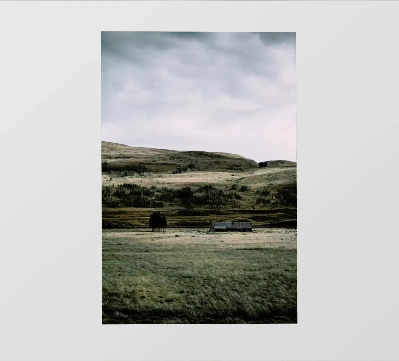 Fresh Air & Good Sleep by @nilsleithold pellicola backlit da EyeEm Mobile GmbH