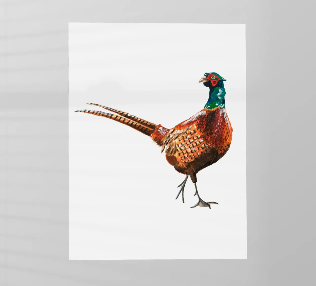 Pheasant pellicola backlit da Femke Zwaan