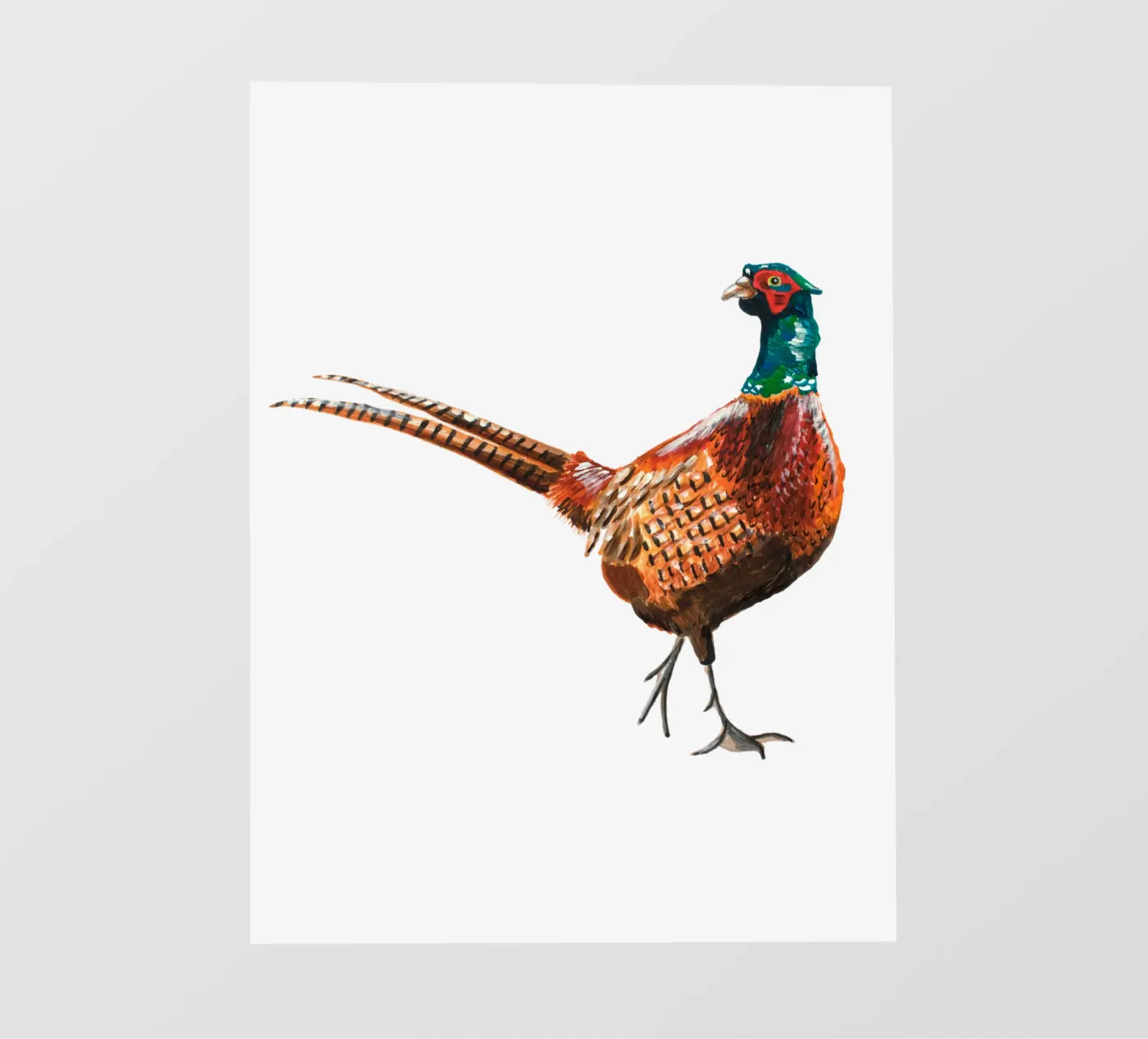 Pheasant pellicola backlit da Femke Zwaan