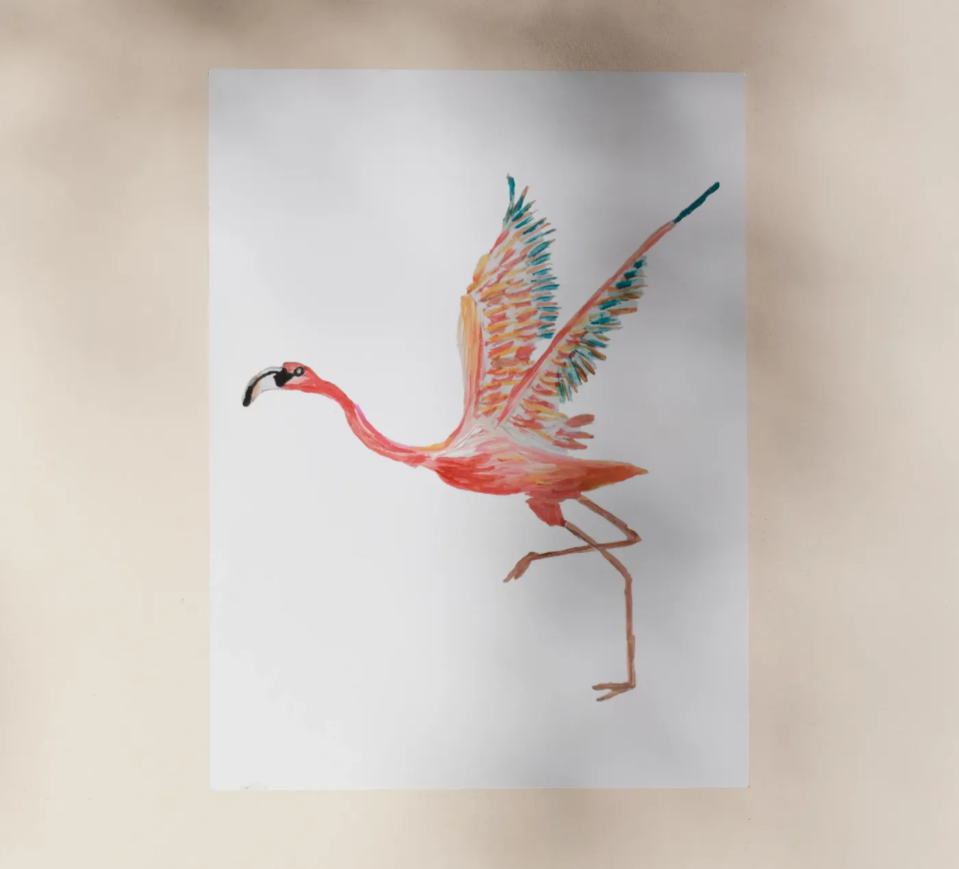 Flamingo pellicola backlit da Femke Zwaan
