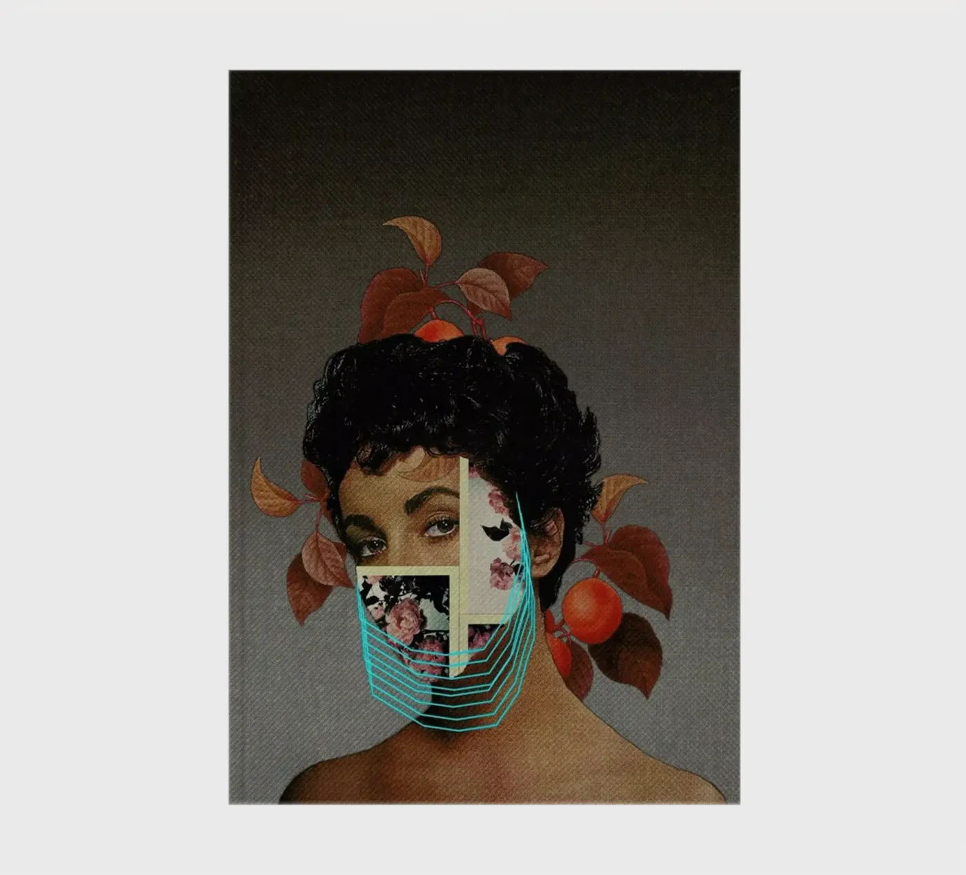 Zed notebook by Frank Moth