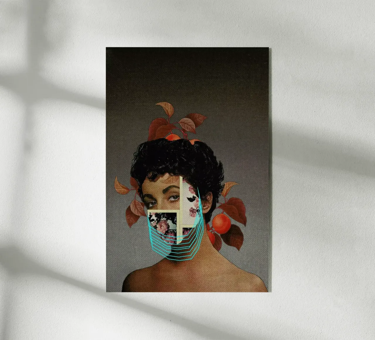 Zed plexiglass da Frank Moth