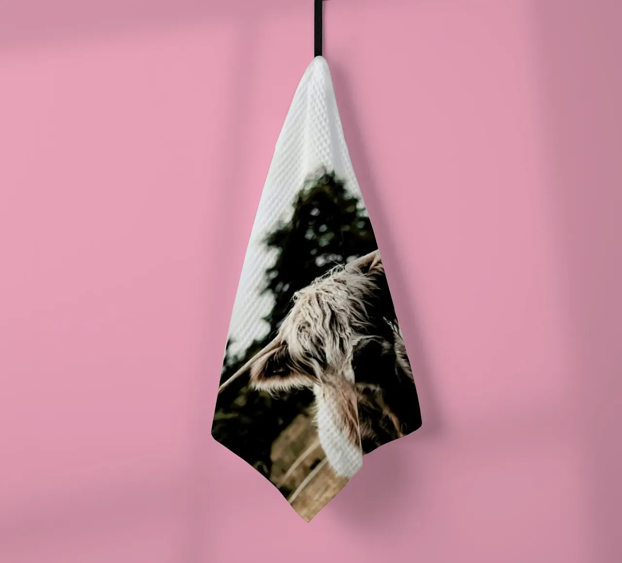 Boris Highland Cow tea towel by Natural Kingdom