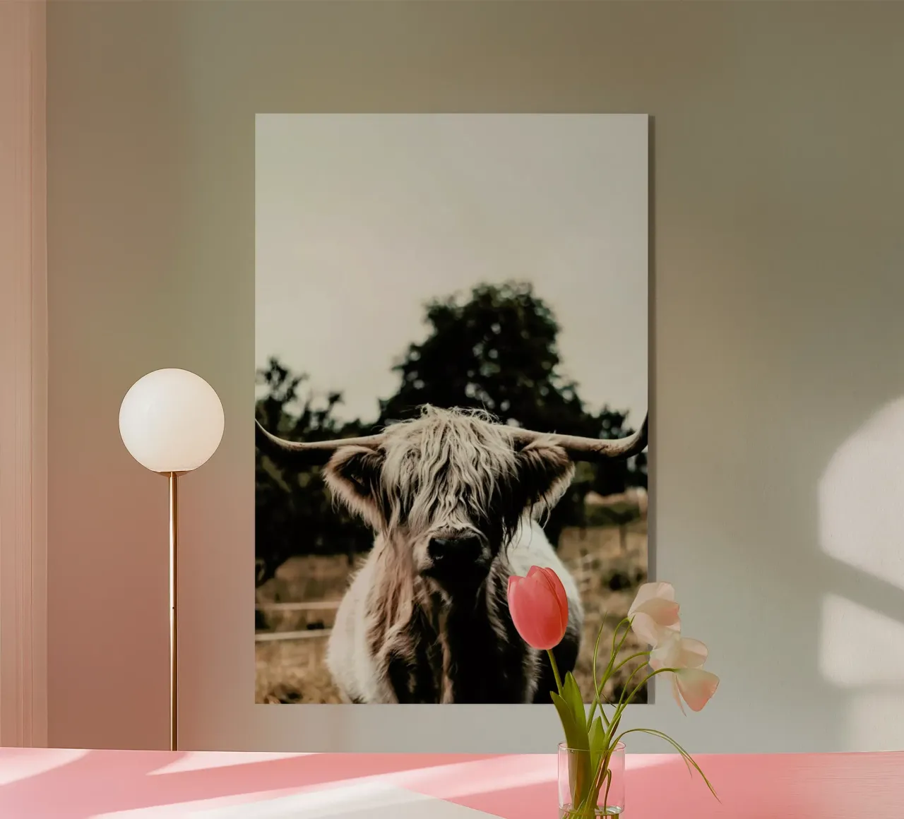 Boris Highland Cow acrylic glass by Natural Kingdom