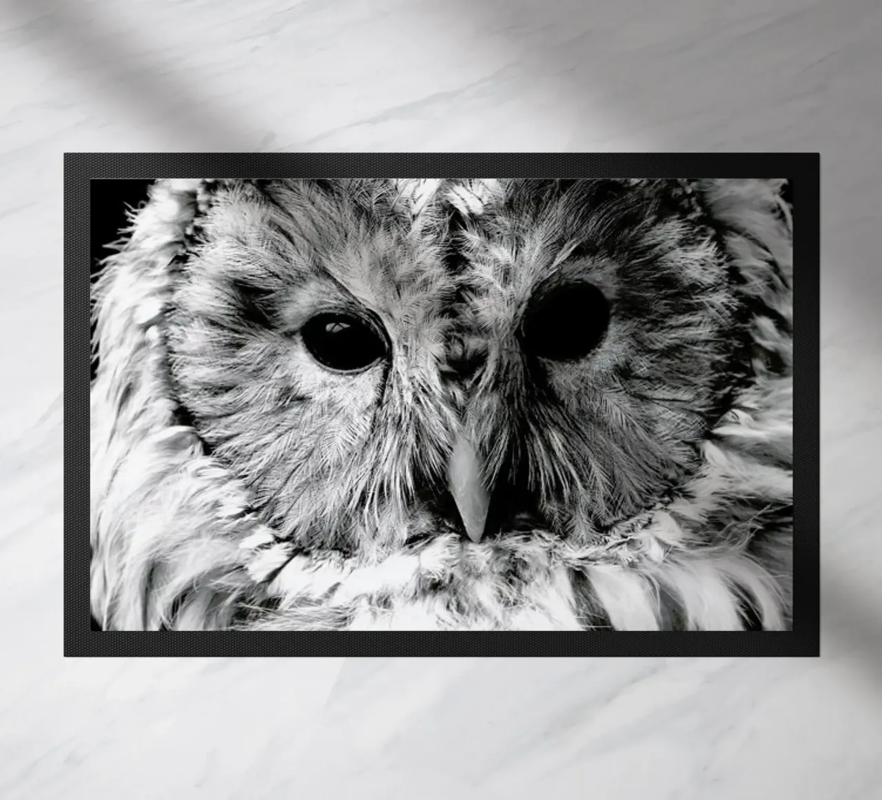 Wise Owl zerbino da Natural Kingdom