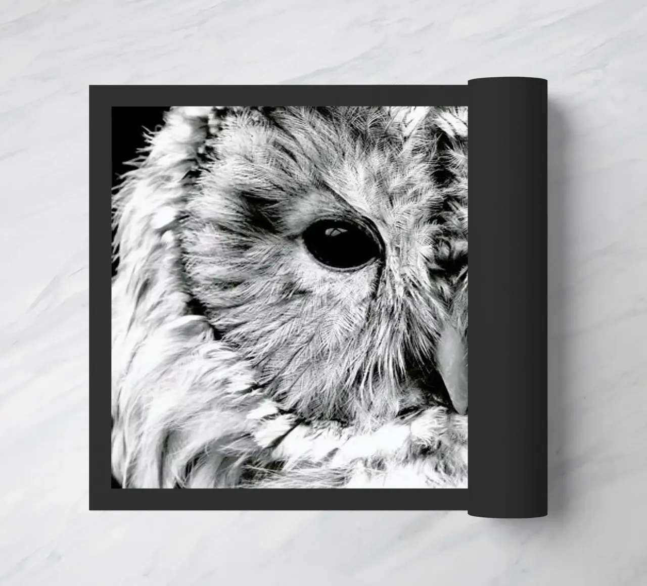 Wise Owl zerbino da Natural Kingdom