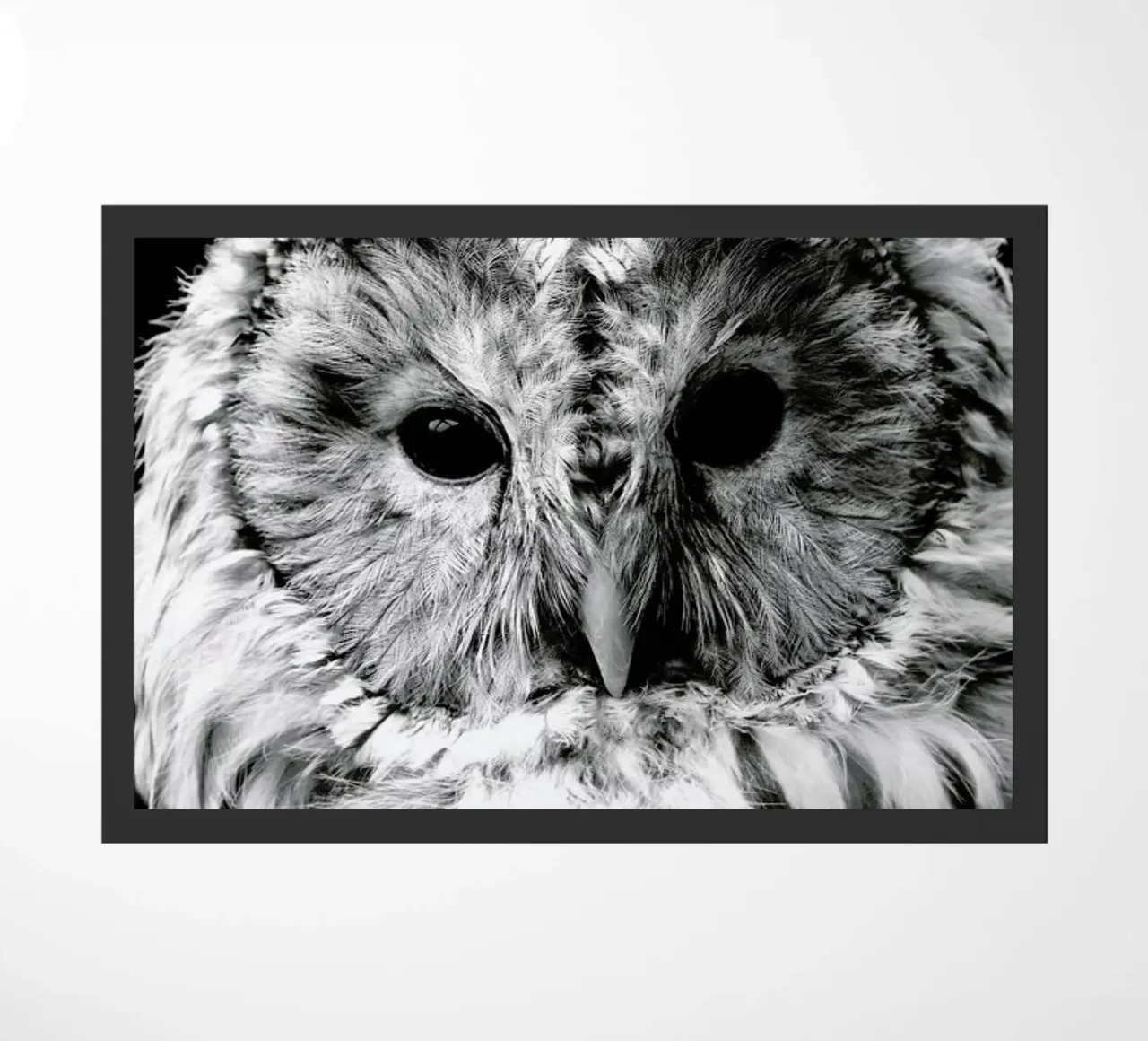 Wise Owl zerbino da Natural Kingdom