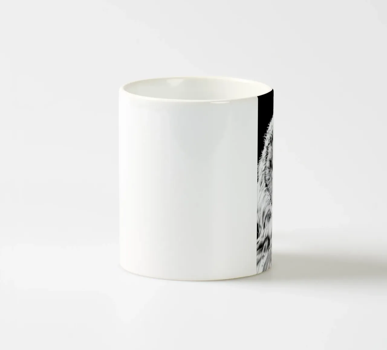 Wise Owl tazza in ceramica da Natural Kingdom