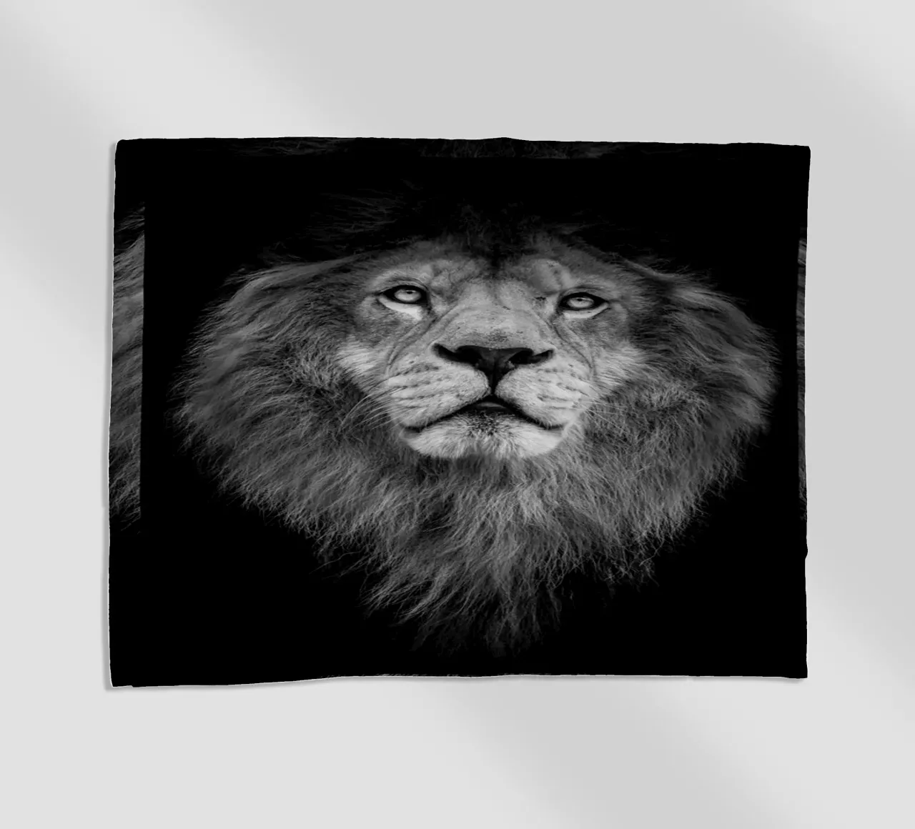 Majestic lion telo mare da LisaArtes