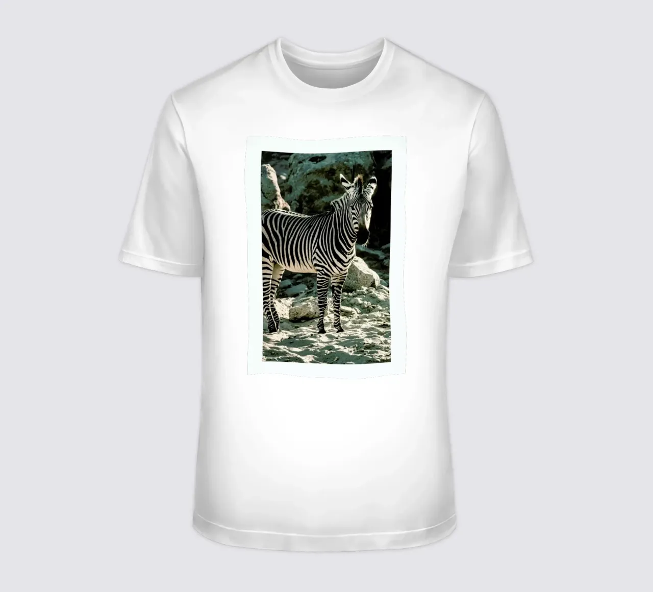 Zebra t-shirt da Natural Kingdom