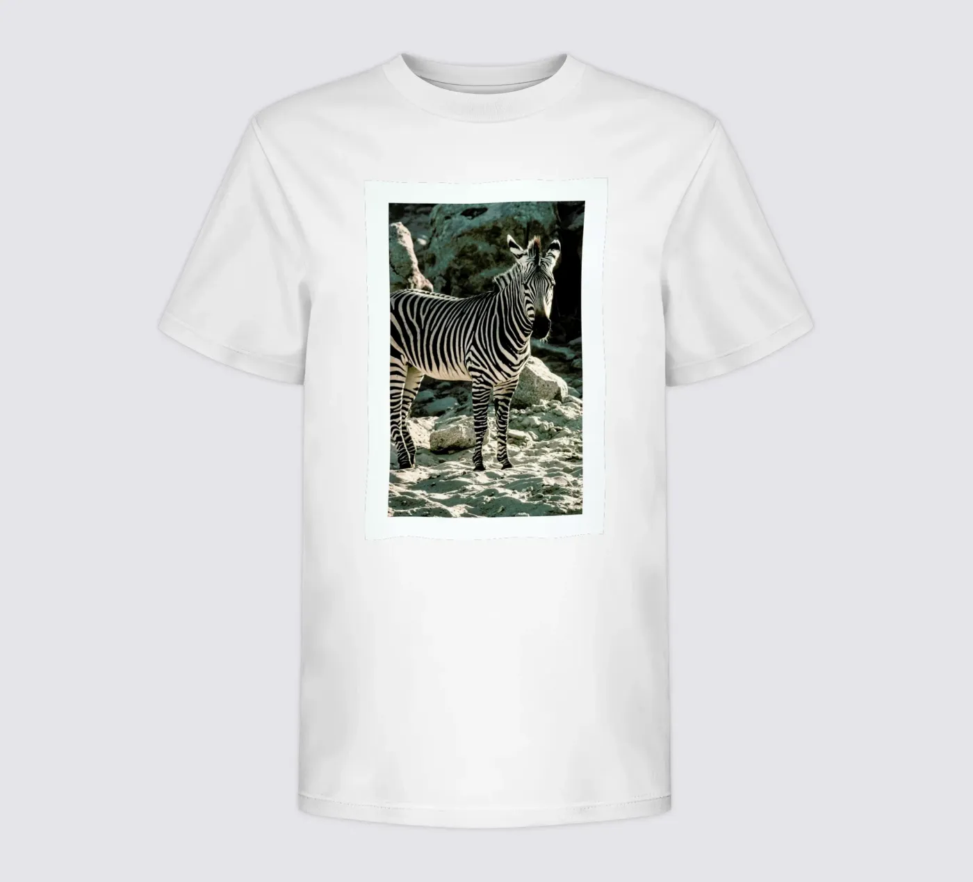 Zebra t-shirt bambini da Natural Kingdom