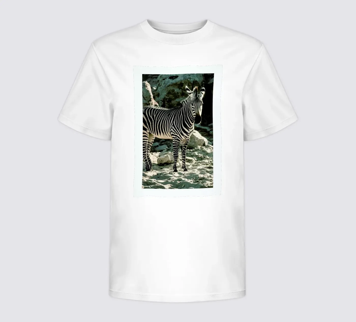 Zebra t-shirt bambini da Natural Kingdom
