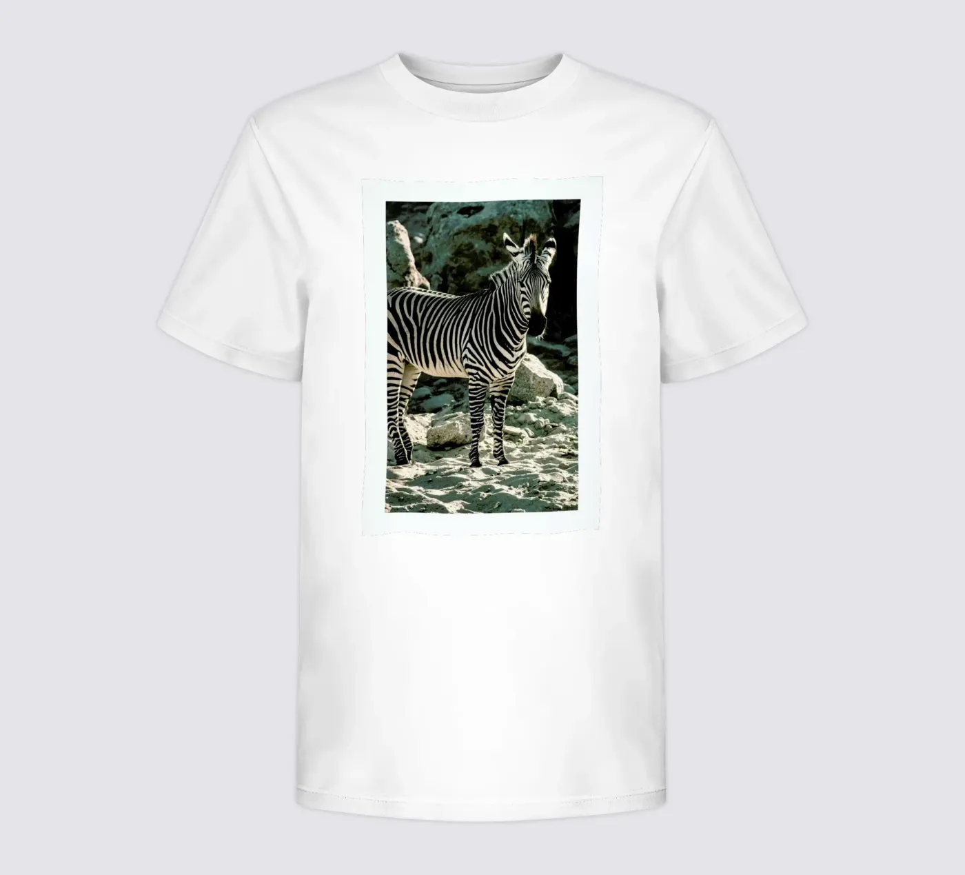 Zebra Kinder T-Shirt von Natural Kingdom