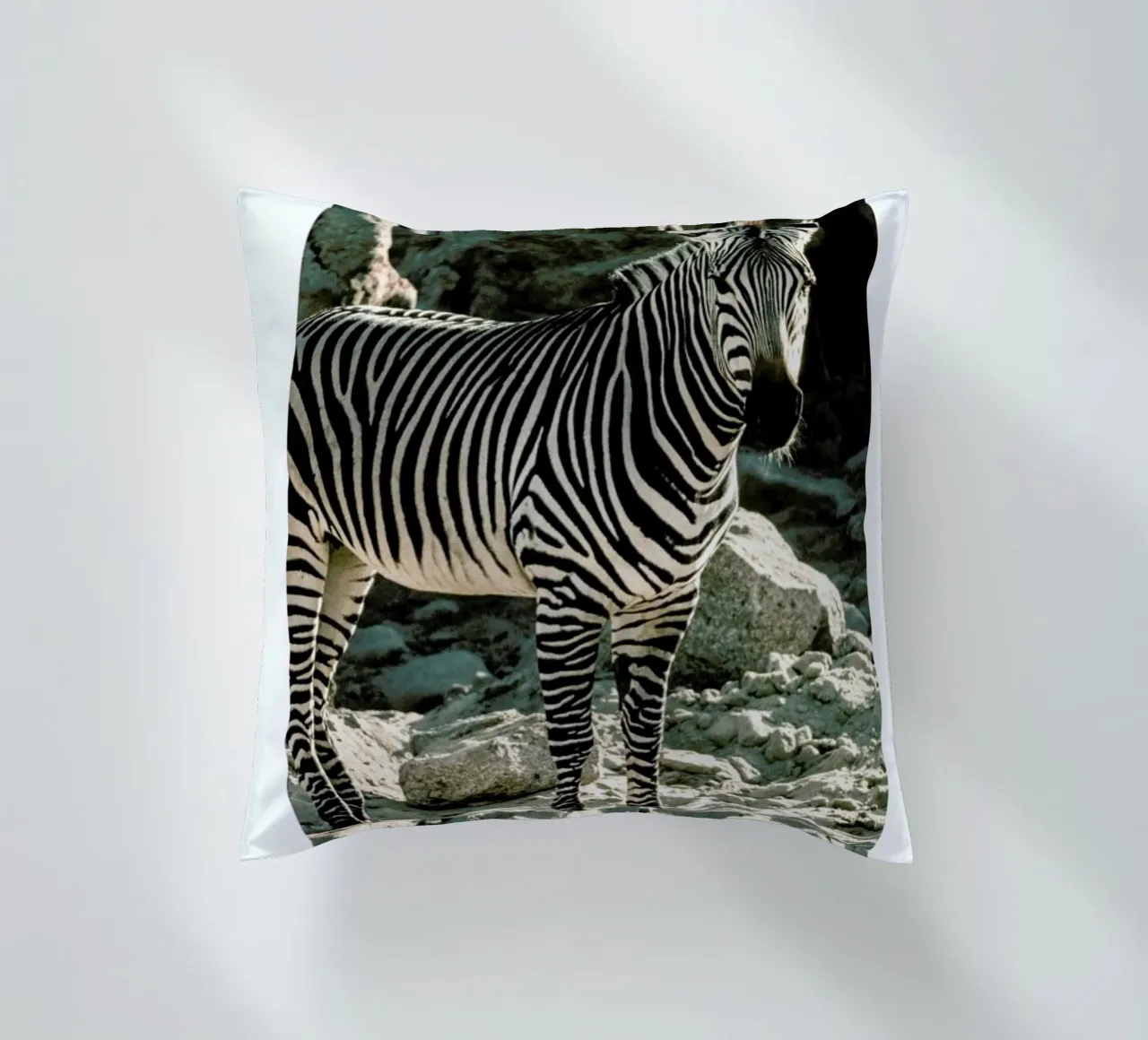 Zebra cuscino da Natural Kingdom