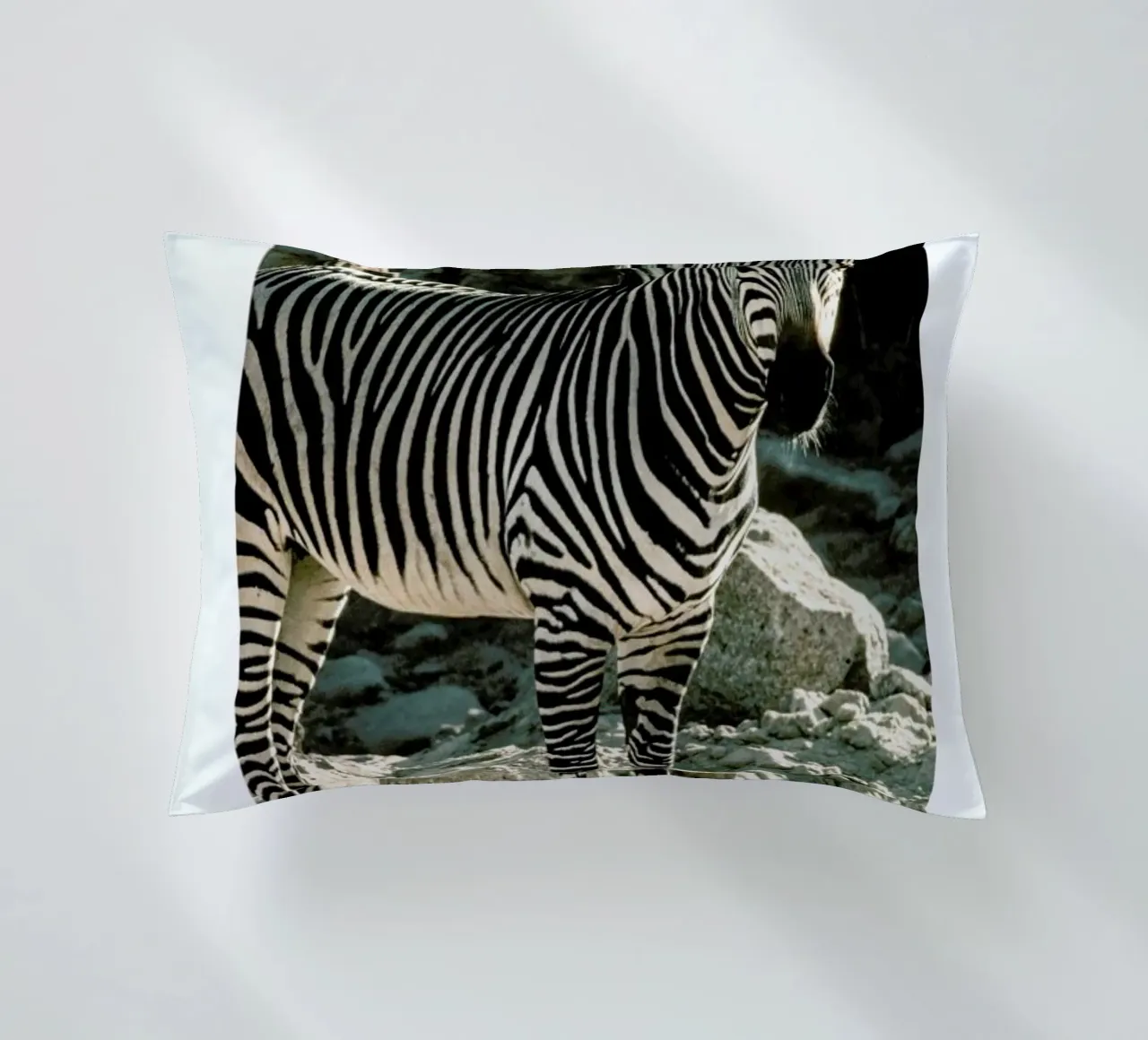 Zebra cuscino da Natural Kingdom