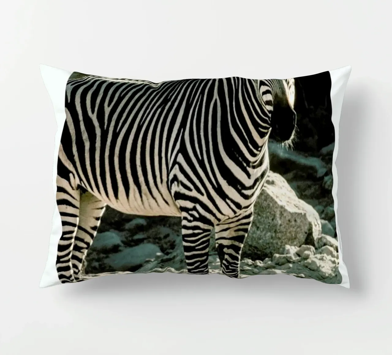 Zebra cuscino da Natural Kingdom