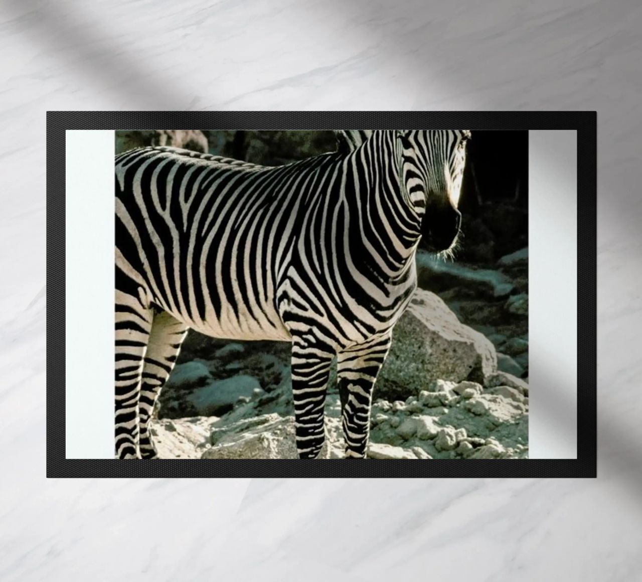 Zebra zerbino da Natural Kingdom
