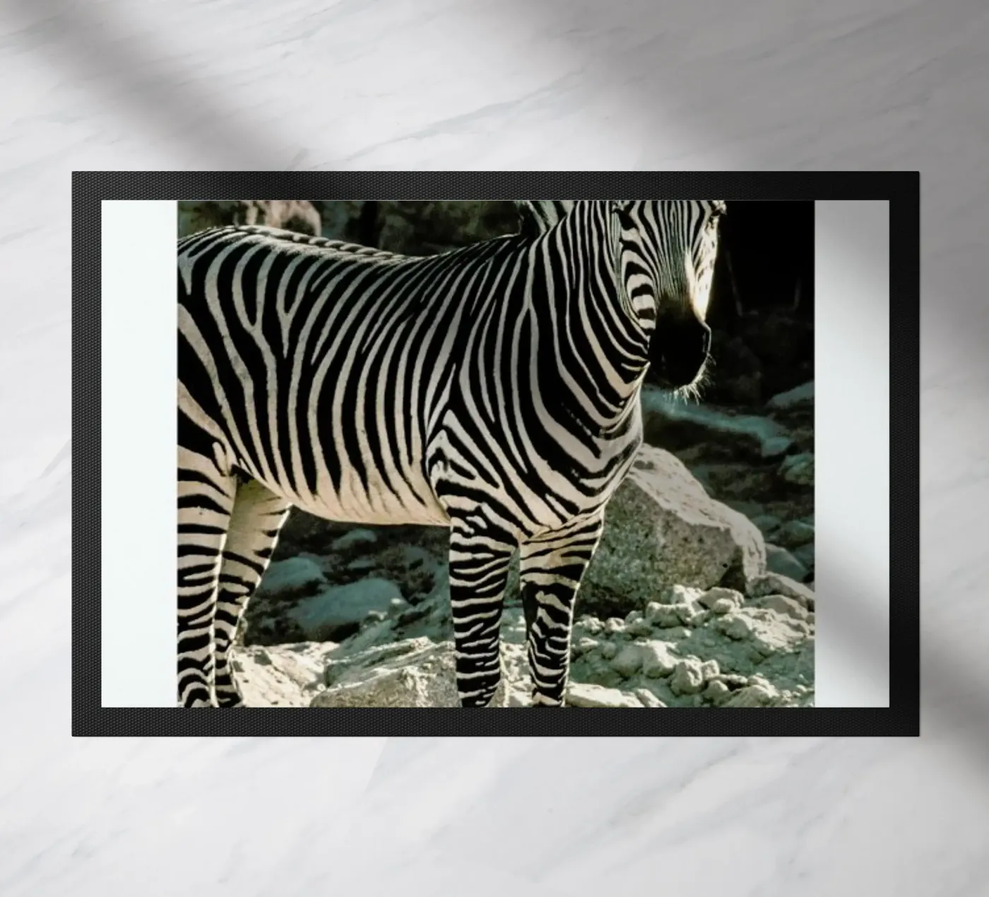Zebra doormat by Natural Kingdom