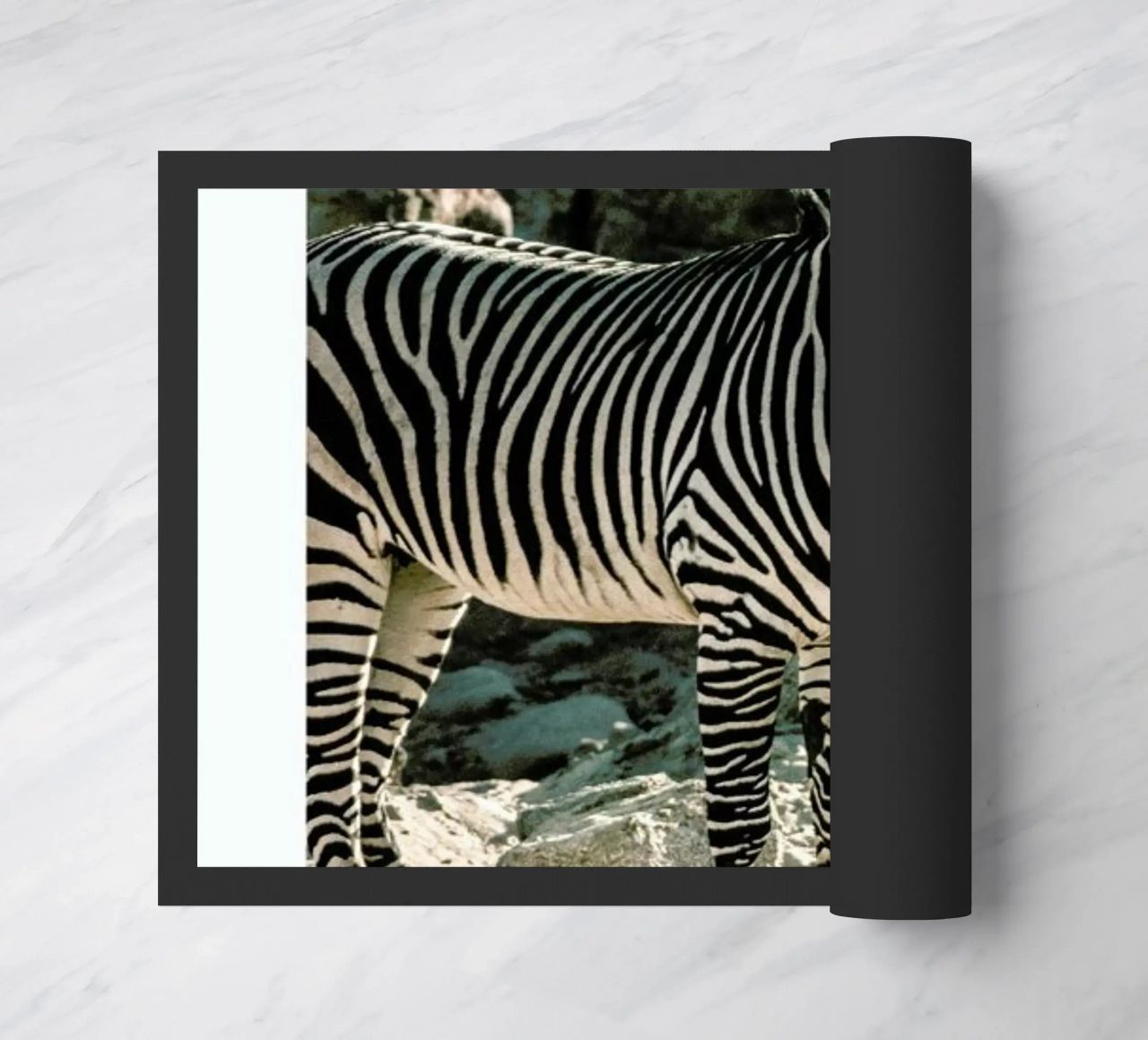 Zebra zerbino da Natural Kingdom