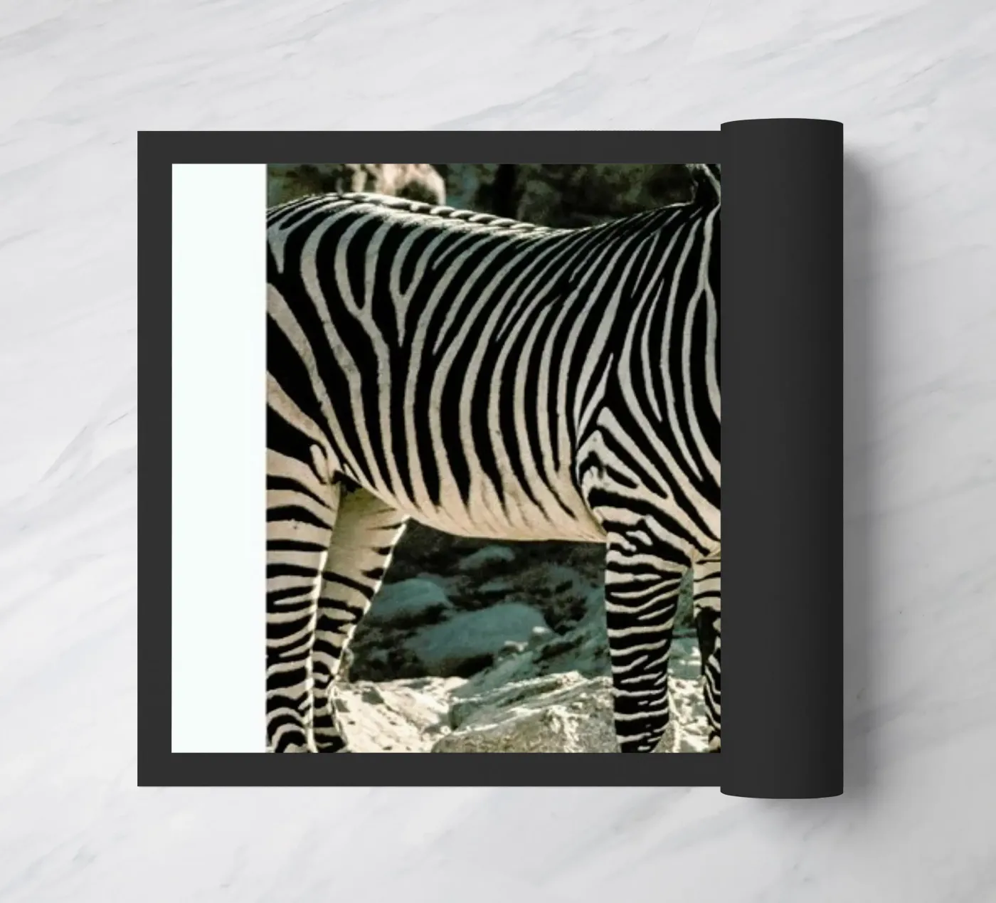 Zebra doormat by Natural Kingdom