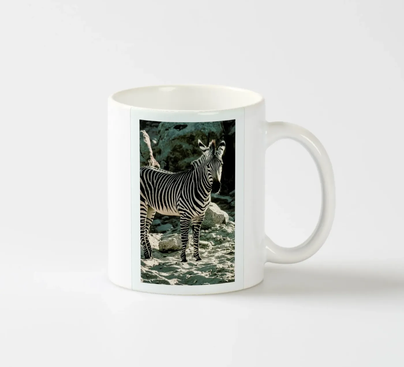 Zebra ceramic mug by Natural Kingdom