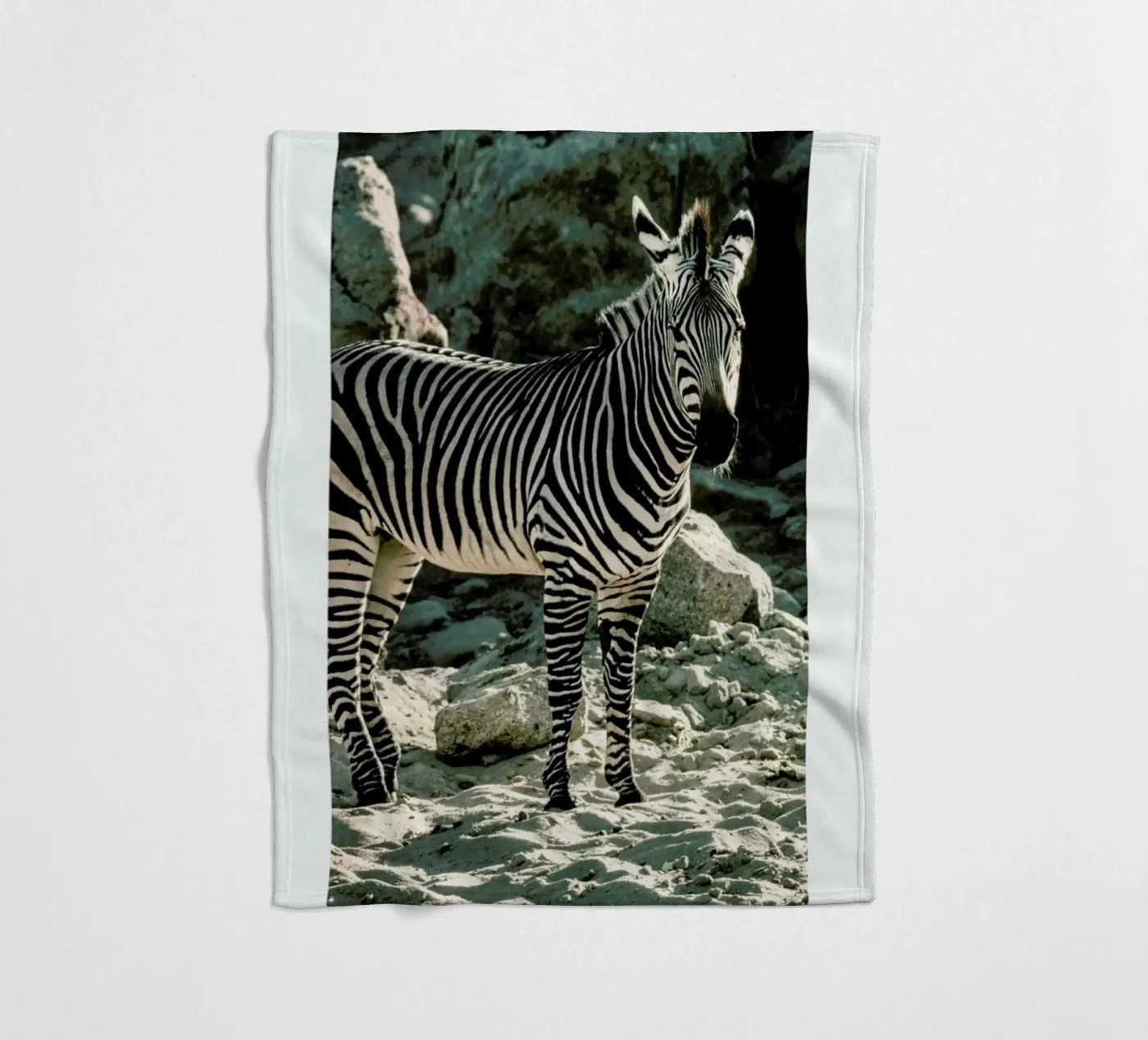 Zebra plaid polaire de Natural Kingdom