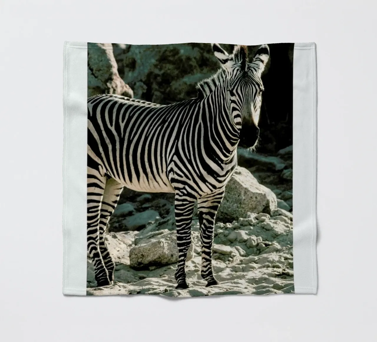 Zebra Fleecedecke von Natural Kingdom