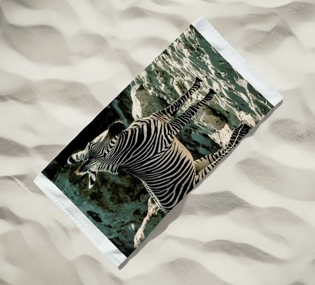 Zebra telo mare da Natural Kingdom
