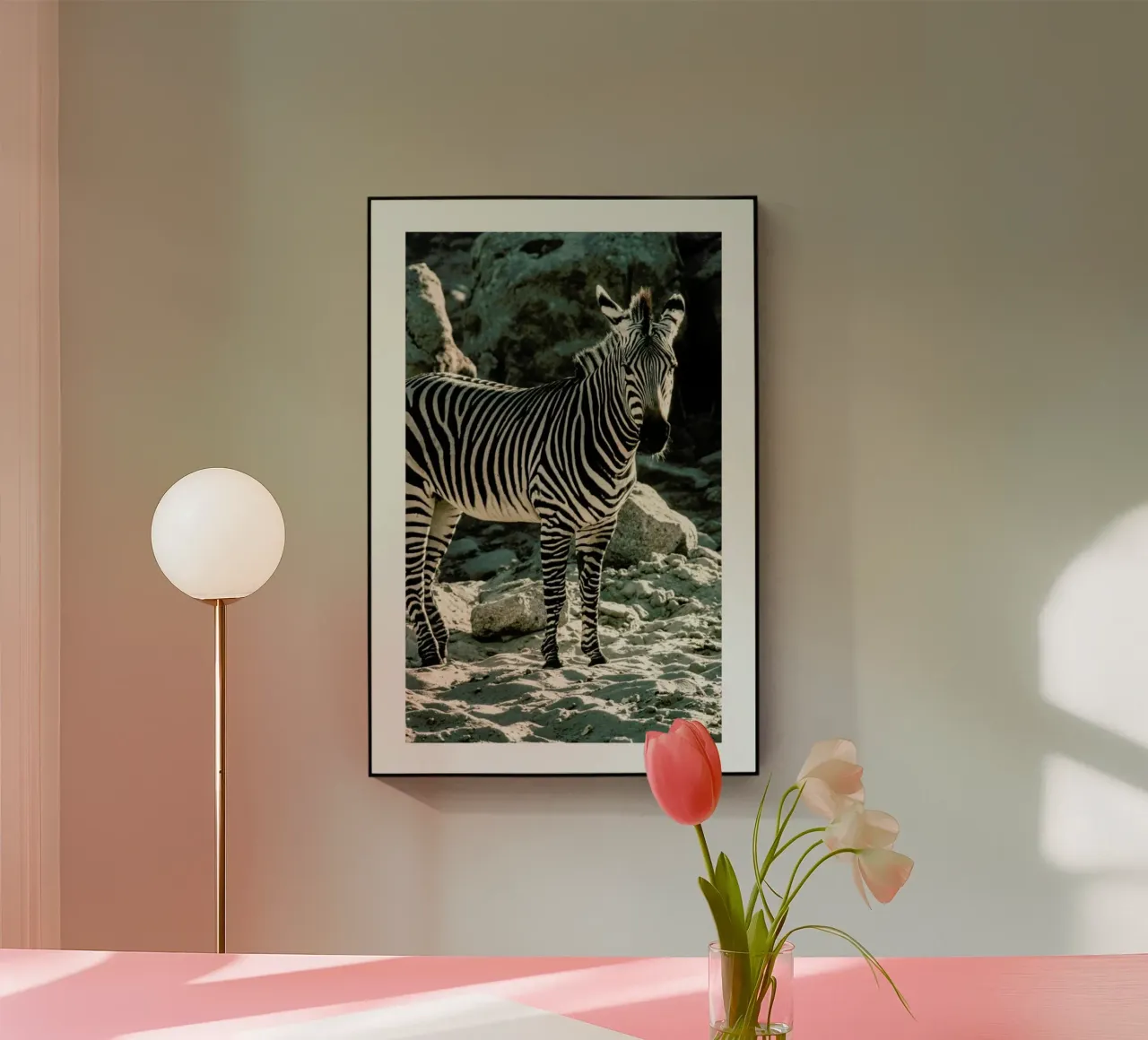 Zebra plexiglass da Natural Kingdom