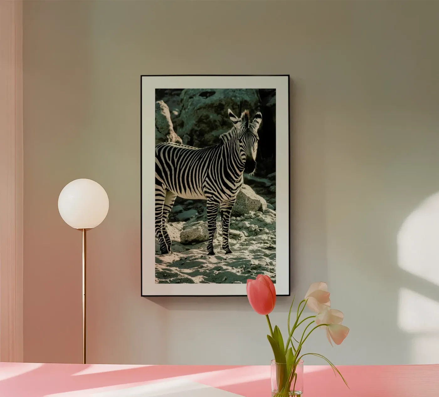 Zebra plexiglas de Natural Kingdom