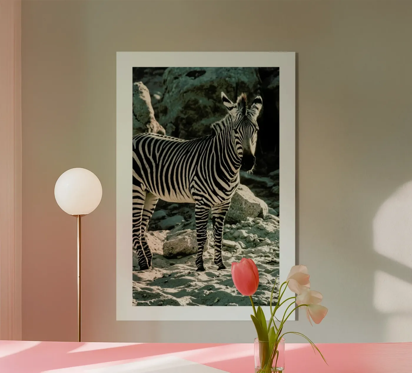 Zebra plexiglas de Natural Kingdom