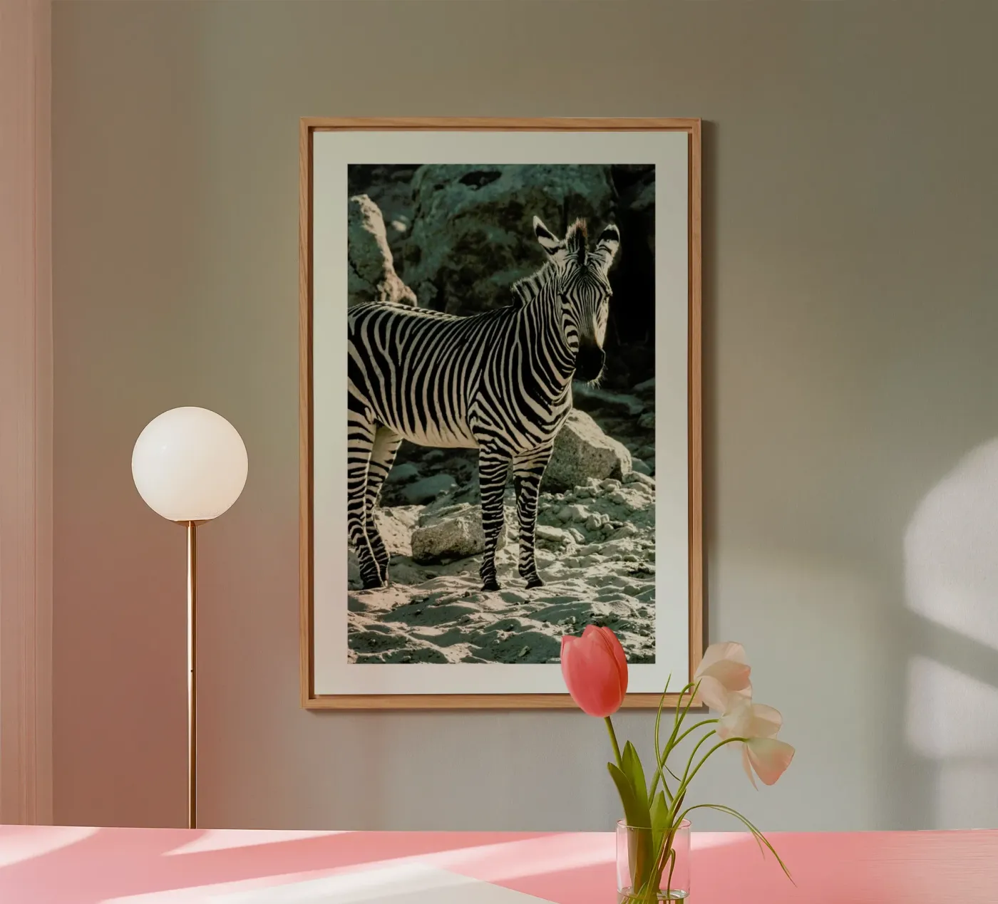 Zebra forex plate by Natural Kingdom